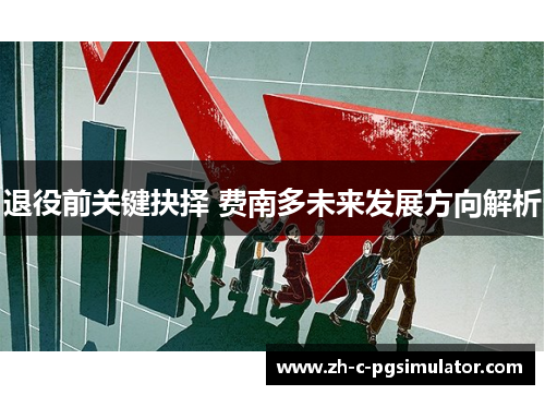 退役前关键抉择 费南多未来发展方向解析